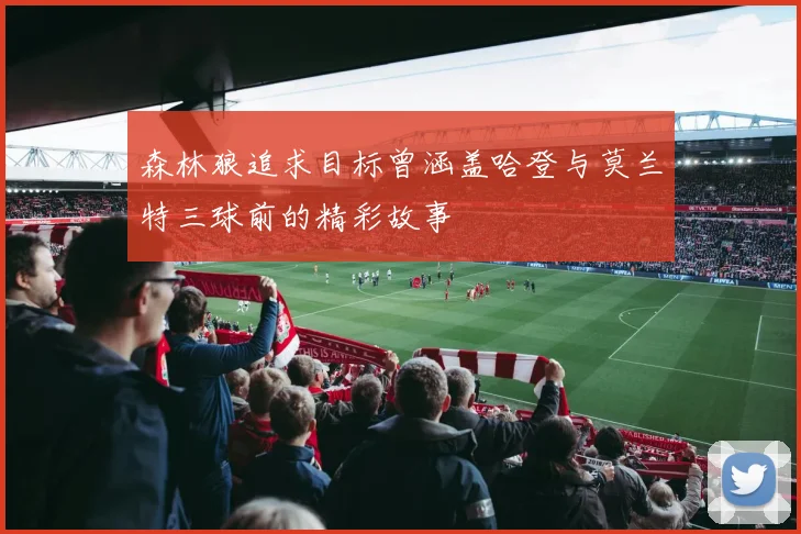 森林狼追求目标曾涵盖哈登与莫兰特三球前的精彩故事