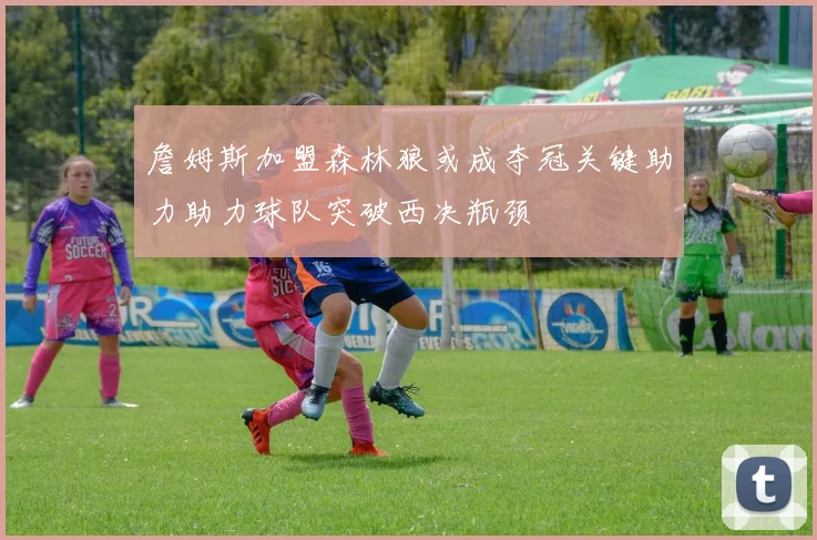詹姆斯加盟森林狼或成夺冠关键助力助力球队突破西决瓶颈