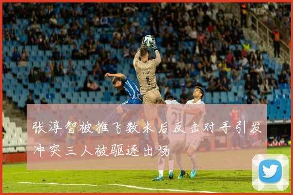 张淳智被推飞数米后反击对手引发冲突三人被驱逐出场