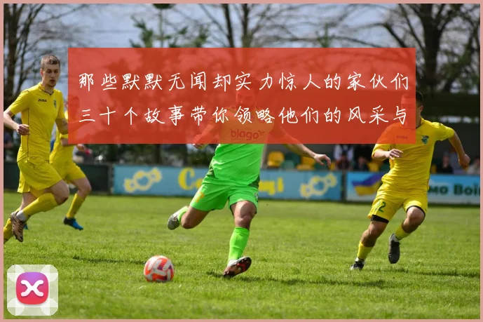 那些默默无闻却实力惊人的家伙们三十个故事带你领略他们的风采与传奇