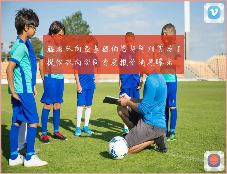 猛龙队向查基赫伯恩与阿利贾马丁提供双向合同资质报价消息曝光
